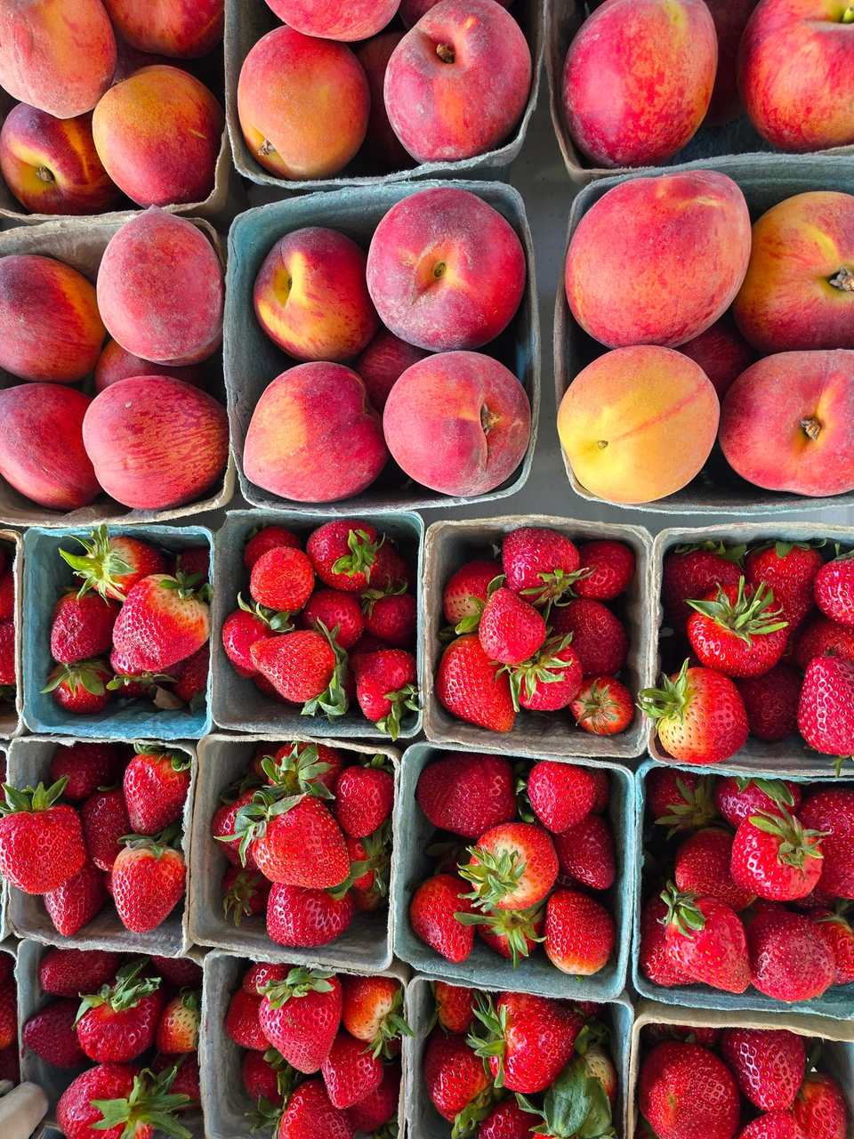 Baskets of ripe peaches above quarts of fresh strawberries