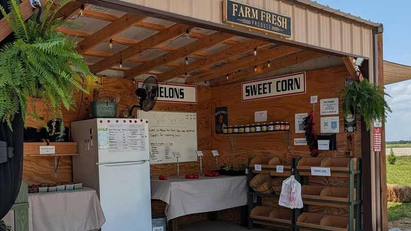 Our farm stand on a summer day: the cooler, the self-serve whiteboard, hand-painted signs, and hanging ferns