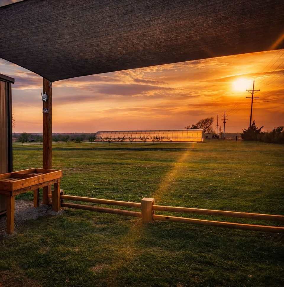 Sunset over the field, the orchard, and the high tunnel, seen from under the shade sail by the stand