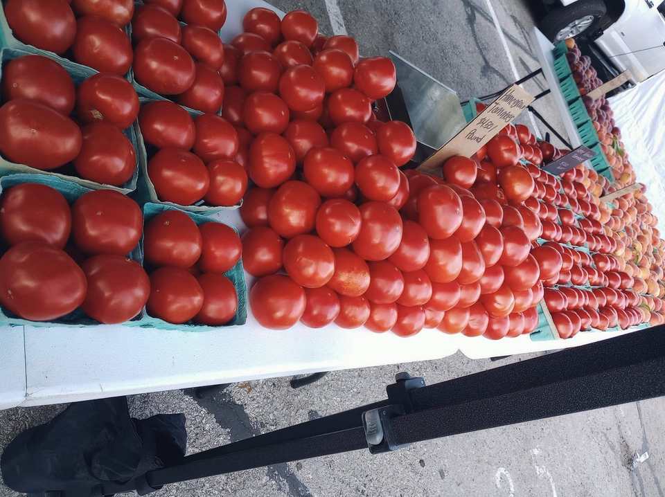 Crates of red tomatoes lined up on a market table