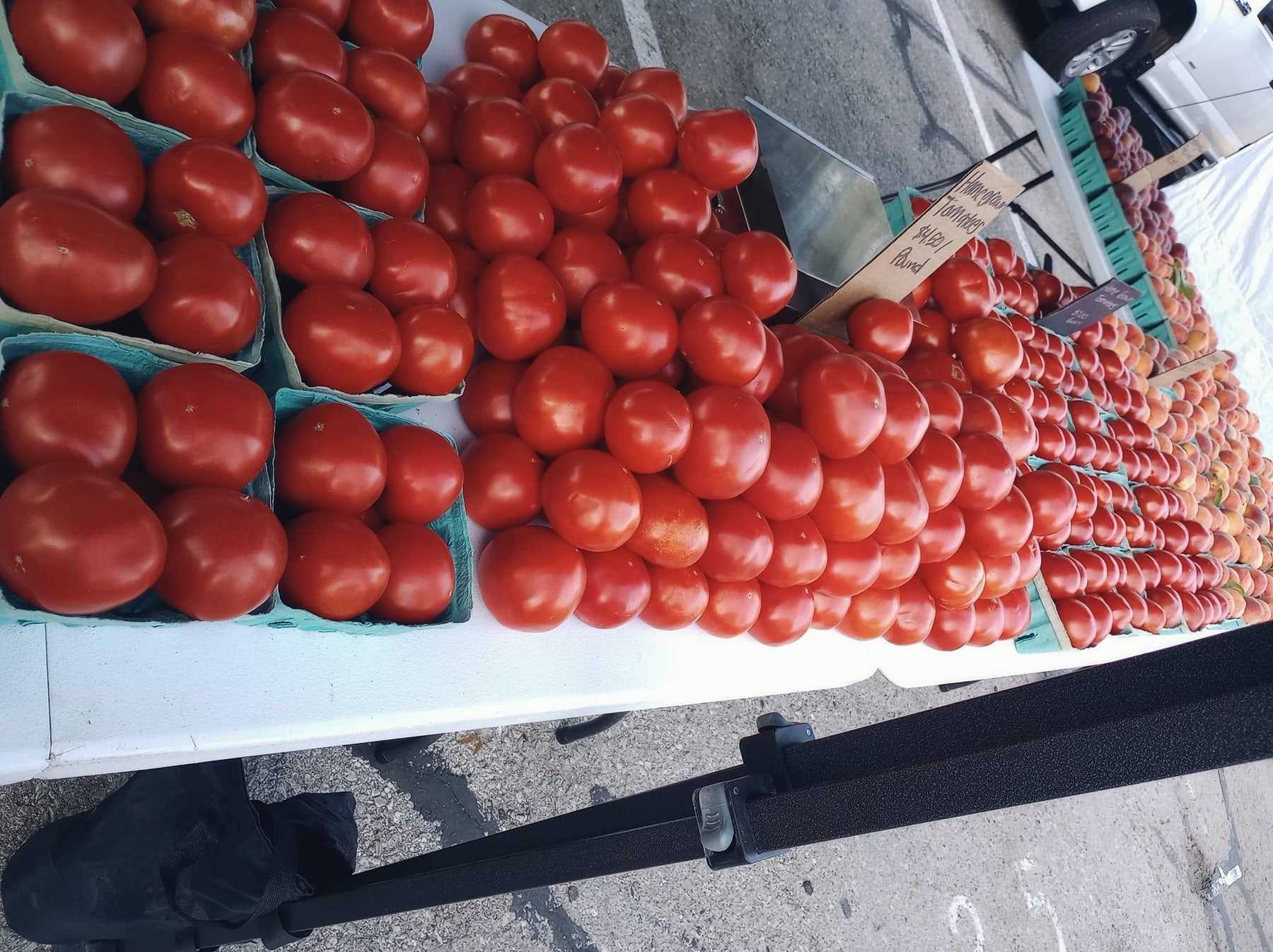 Crates of red tomatoes lined up on our market table